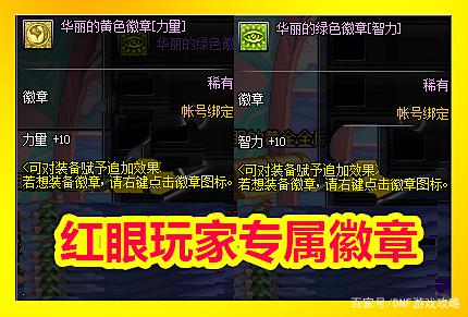 <strong>飞龙dnf私服（dnf飞龙翼有没有用）</strong>